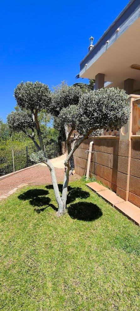 Villa Capllonch Banyalbufar Esterno foto