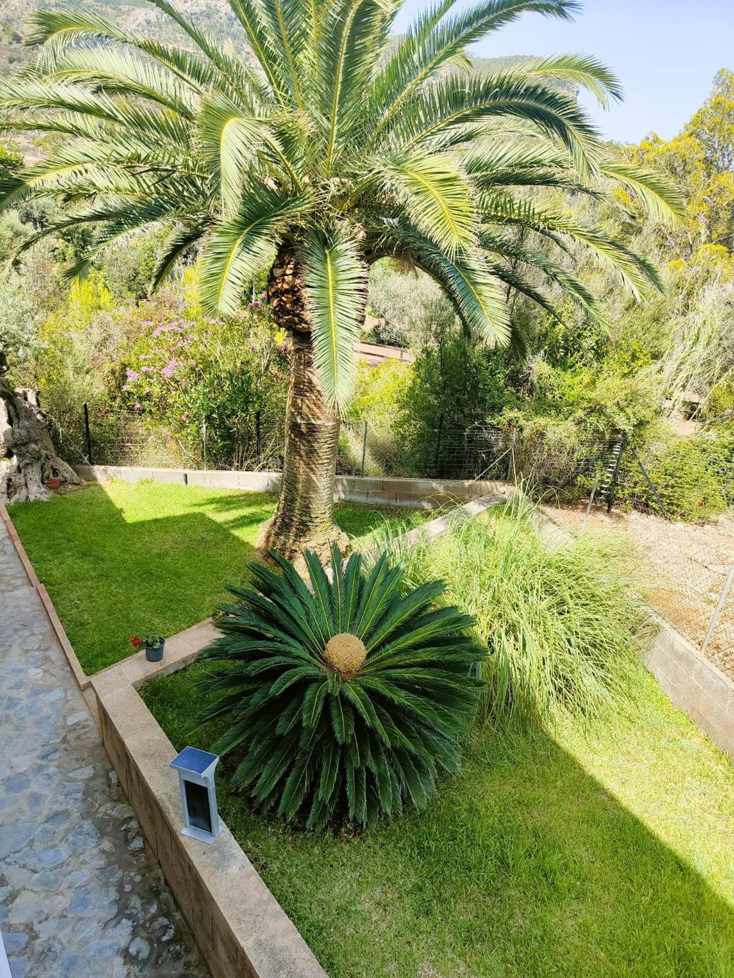 Villa Capllonch Banyalbufar Esterno foto